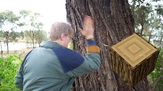 If Minecraft was Real Life