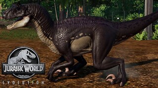 Carnotaurus Hybrids - 2 Carnotarkus (Carnotaurus + Wuerhosaurus) vs 3 Carnoraptor (Carno + Raptor)