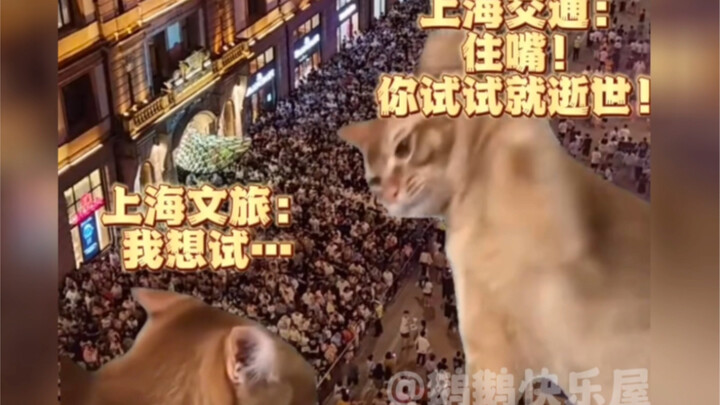 การท่องเที่ยวและวัฒนธรรมของกวางตุ้งและเซี่ยงไฮ้ถูกบังคับให้ยอมแพ้