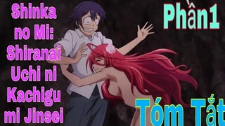 Tóm Tắt Anime Hay:Main Từ Chàng Béo Chuyển Sinh Thành Trai Đẹp | Shinka no Mi | P1 |Sún Review Anime