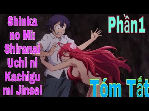 Tóm Tắt Anime Hay:Main Từ Chàng Béo Chuyển Sinh Thành Trai Đẹp | Shinka no Mi | P1 |Sún Review Anime