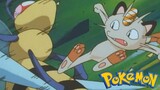 Pokémon Tập 53: Ngày Thiếu Nhi Đấy! Mọi Người Tập Hợp (Lồng Tiếng)