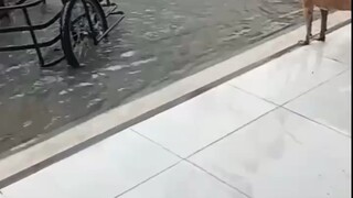 【 自主性 】 🌷你的一句在吗 ，是我们的开始 勇敢前行，盛情邀约 ～
