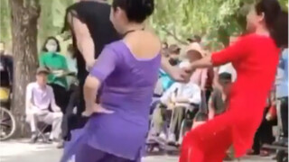 《ผีเสื้อโรแมนติกเก่า》