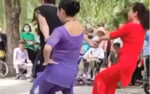 《ผีเสื้อโรแมนติกเก่า》