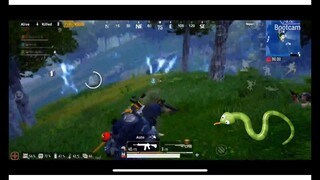 snakes are growing in Sanhok | PUBG Mobile