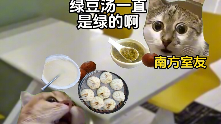 当北方人来南方上学#猫meme小剧场#南北方#真实还原#新猫来袭#大学生
