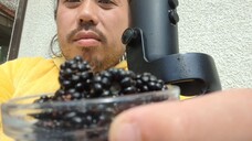 ASMR EATING SOUNDS - BLACKBERRIES