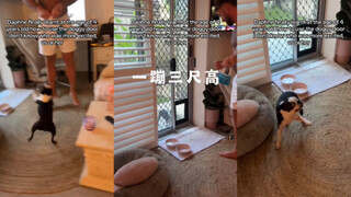 一时说不清谁更兴奋了