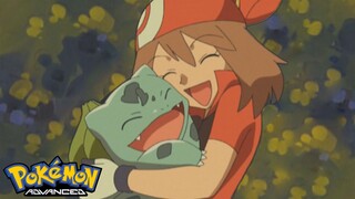 Pokémon AG Tập 349: Vị vua của khu rừng cấm! Fushigibana!! (Thuyết Minh)