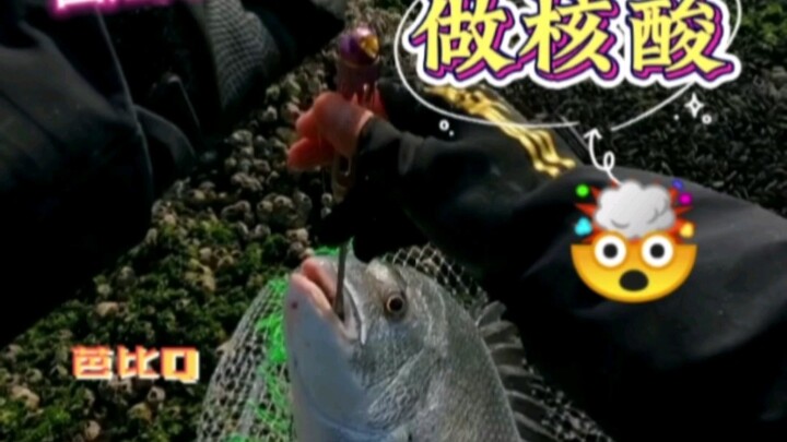 鱼得水逝而相忘乎水，鸟乘风飞而不知有风，闹中取静，超脱趁世，我自闲庭信步，笑看云卷云舒！