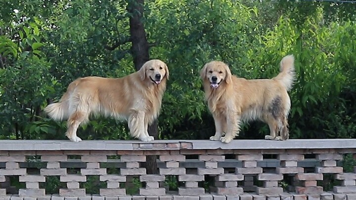 As usual, your leftovers still belong to me.