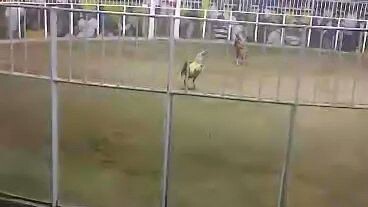 hnd talaga mabayaran Ang kasiyahan Ng tao..#ngiting tagumpay#2hits champion