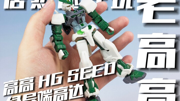 还在玩高高老模？高高 HGSEED 绿异端高达 [模路相逢]