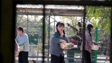 RUN TO YOU WHEN LOVE BLOOMS: episode 1-2