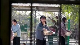 RUN TO YOU WHEN LOVE BLOOMS: episode 1-2