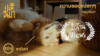 (EN) ความชอบแปลกๆของหมา ! - มหึหมา EP4