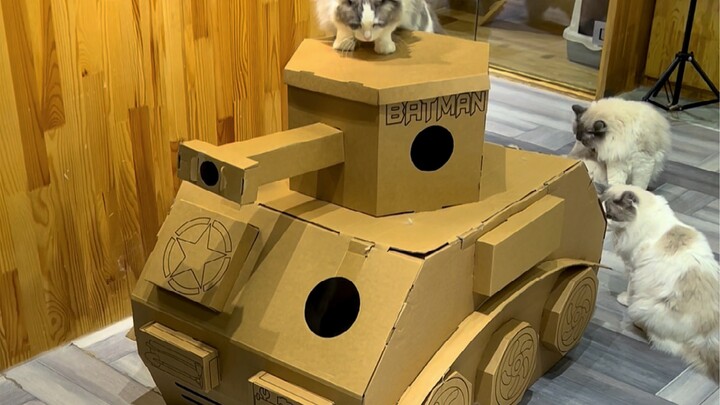 Low Blood Pressure? Just Watch This and You'll Be Fine