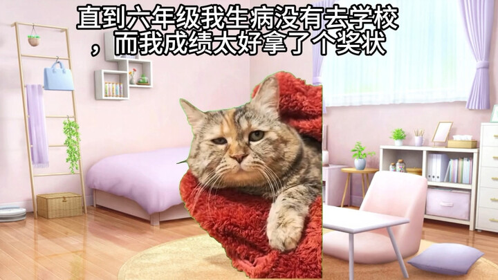 【猫meme】关于我用秽土转生复活我爸妈这件事