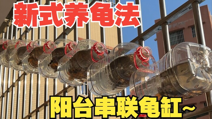 Metode baru memelihara kura-kura, tidak memakan ruang lantai balkon, dan sangat praktis untuk mengga