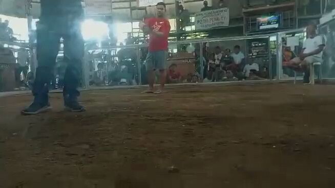 April 22, 2023 2cock derby champion