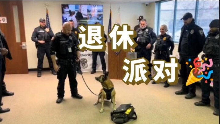 Chào mừng các bạn đến tham gia buổi tiệc nghỉ hưu của chú chó cảnh sát Lyka 🎉