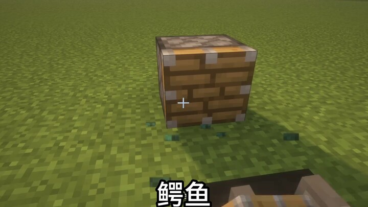 Cá sấu Minecraft