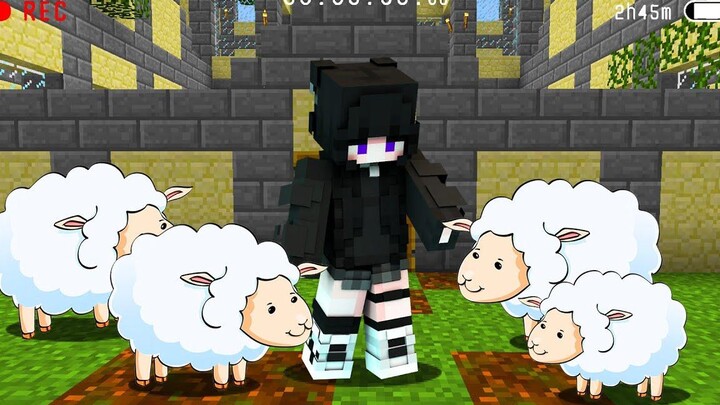 ✨เบื้องหลัง l ตอน ดีซีโร่กลายเป็นหมาป่า Minecraft สตอรี่