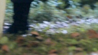 Hidup kembali dengan 3 istri