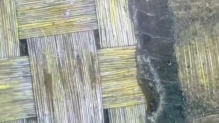 บล็อกเกอร์ถอดประกอบ Huawei Mate XT ขณะถอดไปก็ทึ่งไป! #จอพับ #HuaweiMateXT #iPhone16