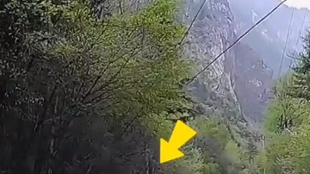 Wild? Better just sit it out in prison—forever!