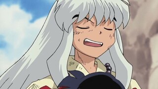 [Wuwei] Ternyata InuYasha bernyanyi dengan sangat baik [karakter ganda Cina dan Jepang] Bagaimana rasanya diberi makan makanan anjing oleh anjing