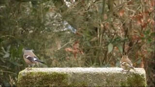 Lord, I Need You, Christian Music Worship Songs With Lyrics 2025, Worship Songs