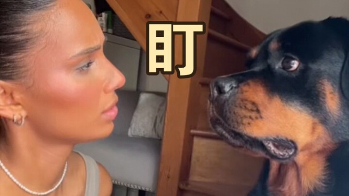 This little dog is a total pro at reading people’s expressions!