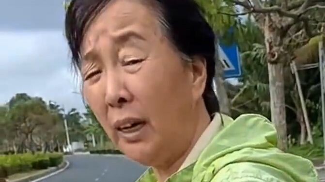 A northeastern auntie in Hainan got caught stealing vegetables and was asked about her hometown—she 