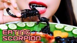 ASMR deep fried SCORPION ,  Southeast Asia exotic food, Eating sound | LINH-ASMR