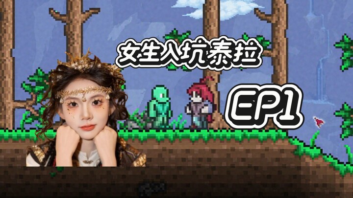 1Girls play Terraria? Boys play My Terra?
