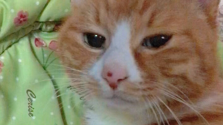 If I hadn’t raised him myself, I’d never believe he’s almost 22 years old.