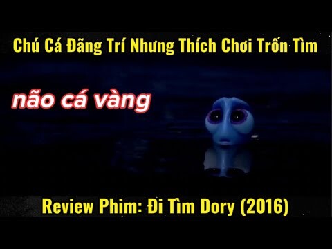 Chú Cá Đãng Trí Nhưng Thích Chơi Trốn Tìm