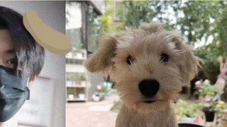 Chen Zheyuan·กลัวสุนัข |. มีใครกลัวสุนัขมากกว่า Puppy Yuan บ้างไหม?