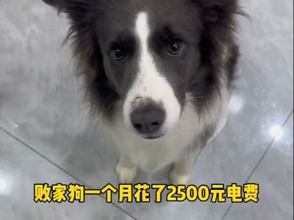 The culprit was found! He spent 2,500 yuan on electricity in one month!
