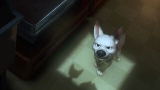 Octubre 2023 - Bolt