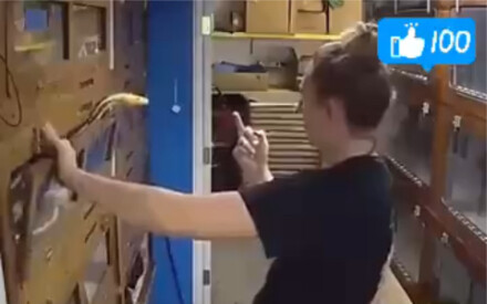 Give the middle finger, and you’re instantly a wimp!