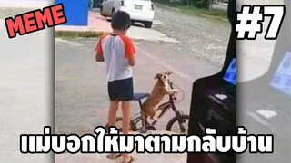 ภาพนี้ก็ฮาเหมือนกันนะเนี้ย #7 [ พากย์นรก MEME.EXE ] | easy boy