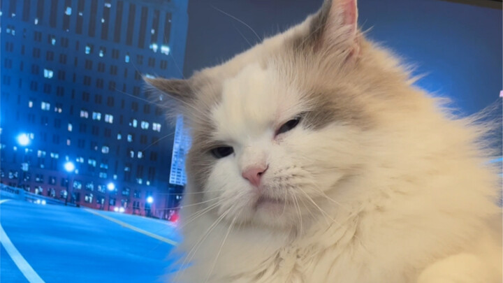 นี่คือความพ่ายแพ้อย่างย่อยยับครั้งแรกของเย่เฟิ่น