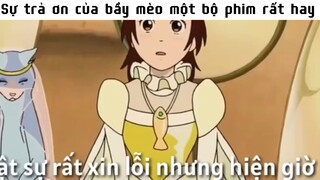 Sự trả ơn của bầy mèo
