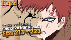 Naruto's training and growth- RANGKUMAN NARUTO EPISODE 213 - 223 BAHASA INDONESIA