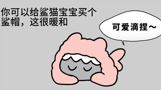 鲨猫要戴鲨鲨帽