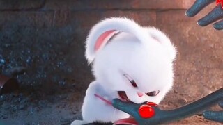 The adorable and silly little rabbit turns out to be the boss of the animal kingdom—Film Review of "