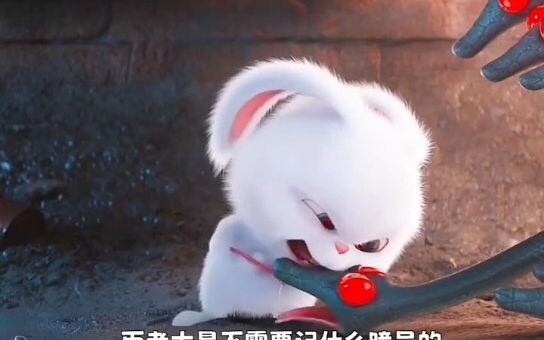 呆萌可爱的小兔子竟是动物界的老大 "爱宠大机密 "影视解说